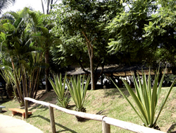 Parque Rodrigo de Gásperi - Pirituba