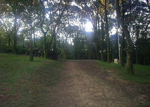 Parque Vila dos Remédios - Pirituba